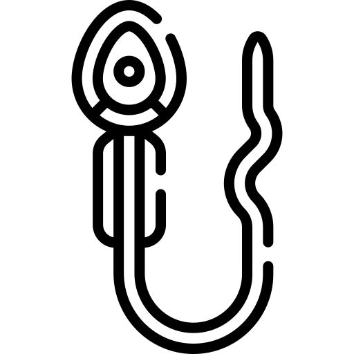 Espermatogênese