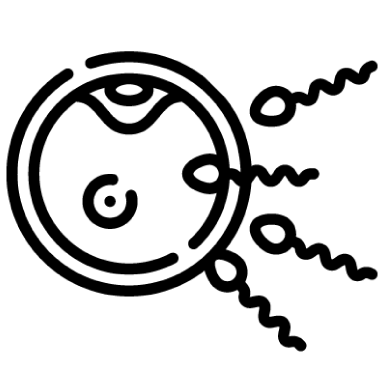 Fecundação