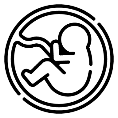Período Fetal
