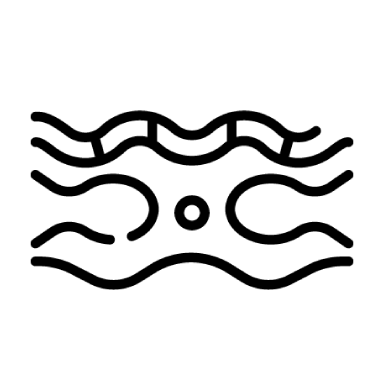 Neurulação